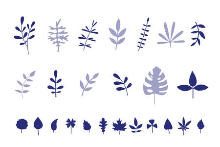 Set of silhouettes of leaves, palms, plants, flowers, monstera, cartoon style. Botanical exotic plants elements. Trendy modern vector illustration isolated on white background, hand drawn, flat designのイラスト素材
