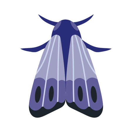 Night moth, insect with wings, cartoon style. Trendy modern vector illustration isolated on white background, hand drawn, flat design.のイラスト素材