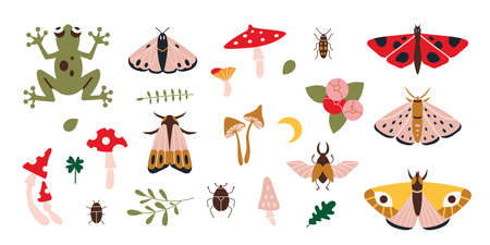 Forest items set, butterflies, mushrooms, plants, cartoon style. Cottagecore, goblincore aesthetics. Trendy modern vector illustration, hand drawn, flat design.のイラスト素材