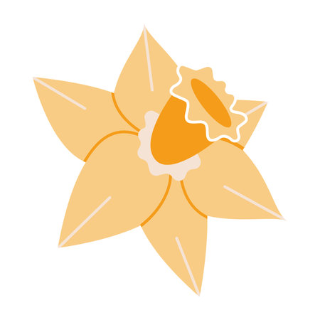 Narcissus, yellow daffodils, cartoon style. Trendy modern vector illustration isolated on white background, hand drawn, flat design.のイラスト素材