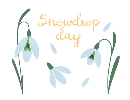 Snowdrop day, first spring flowers, cartoon style. Trendy modern vector illustration isolated on white background, hand drawn, flat design.のイラスト素材