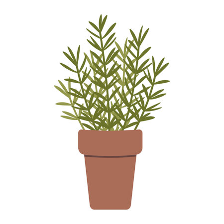 Rosemary in a pot, cartoon style. Trendy modern vector illustration isolated on white background, hand drawn, flat design.のイラスト素材