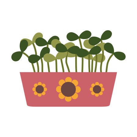 Sunflower Microgreens in a container, Healthy Food Sprouts, cartoon style. Trendy modern vector illustration isolated on white background, hand drawn, flat design.のイラスト素材