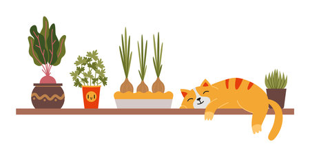 A cute cat is sleeping on a shelf next to a home kitchen garden, beetroot onions and parsley in pots. Urban Cozy home gardening hobby. Trendy modern isolated vector illustration, hand drawn, flat.のイラスト素材