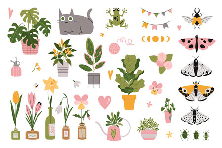 Set with cute natural, plant elements, cartoon style. Houseplants, bottled flowers, decorations and butterflies. Urban Cozy home. Trendy modern isolated vector illustration, hand drawn, flat.のイラスト素材