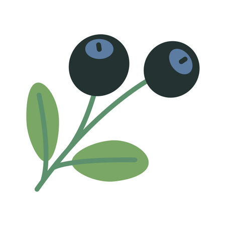 Blueberry, cartoon style. Trendy modern vector illustration isolated on white background, hand drawn, flat design.のイラスト素材