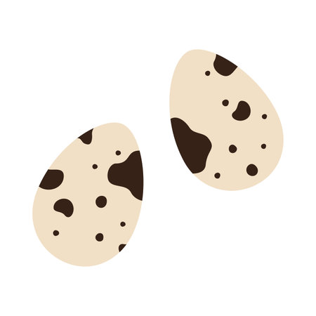 Quail eggs, cartoon style. Vector illustration isolated on white background, hand drawn, flat design.のイラスト素材