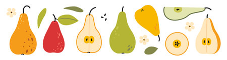 Set with Pears, whole and cut fruits, slices, leaves, flowers and seeds. Modern vector illustration isolated on white background, hand drawn, flat design.のイラスト素材