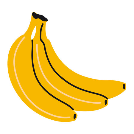 Banana bunch. Modern vector illustration isolated on white background, hand drawn, flat design.のイラスト素材
