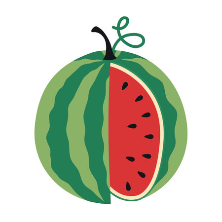 Cute watermelon. Whole fruit with a cut out piece. Trendy modern vector illustration isolated on white background, hand drawn, flat design.のイラスト素材
