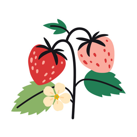 Strawberry plant, plump red and pink berries, green leaves, and flower. Trendy modern vector illustration isolated on white background, hand drawn, flat design.のイラスト素材