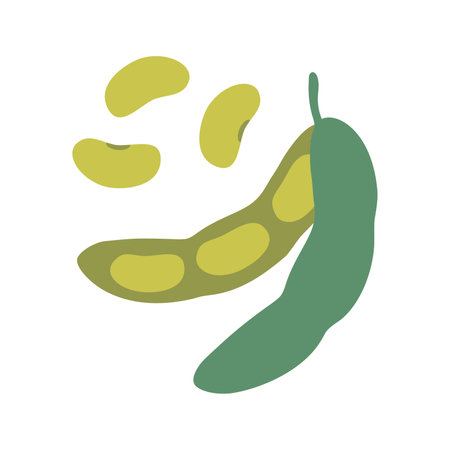 Fresh green Soybean pod, Edamame. Modern vector illustration isolated on white background, hand drawn, flat design.のイラスト素材