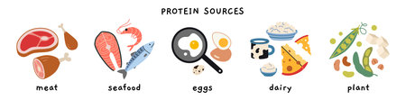 Different sources of protein, including meat, seafood, eggs, dairy, and plant based. Health and...