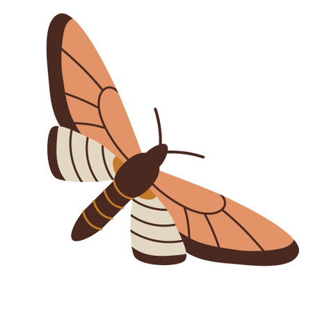 Nocturnal moth, Hawkmoth. Brown elegant night insect. Modern vector illustration isolated on white background, hand drawn, flat design.のイラスト素材