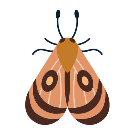 Nocturnal moth with circular eye spots. Brown elegant night insect. Modern vector illustration isolated on white background, hand drawn, flat design.のイラスト素材