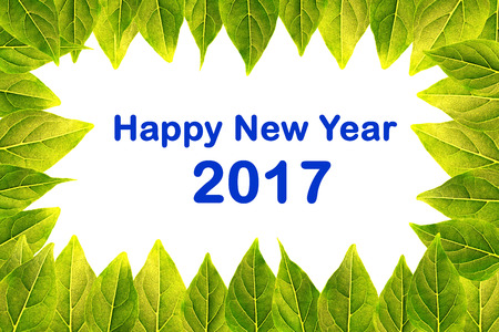 Happy new year 2017 in background edge leaves.