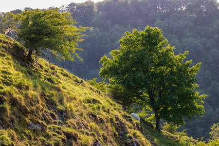 Dovedale-A beautiful landscape on a sunny day in a natural nature reserve in Englandの写真素材