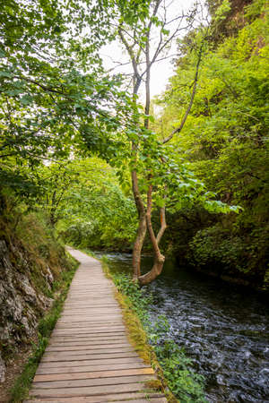 Dovedale-A beautiful landscape on a sunny day in a natural nature reserve in Englandの写真素材