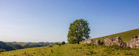 Dovedale-A beautiful landscape on a sunny day in a natural nature reserve in Englandの写真素材