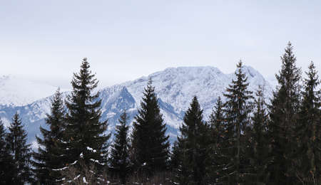 Winter landscape from Polish mountains