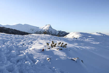 Tatra Mountains - Beautiful winter landscape in the Polish mountains