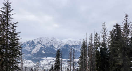 Tatra Mountains - Beautiful winter landscape in the Polish mountains