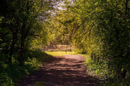 Wrens Nest National Nature Reserve in Dudley - a beautiful place for hiking.