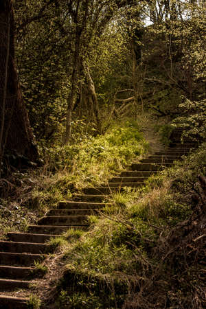 Wrens Nest National Nature Reserve in Dudley - a beautiful place for hiking.の写真素材
