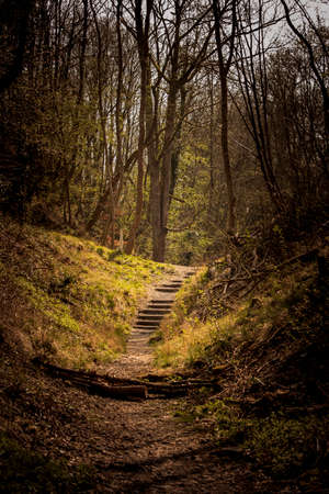 Wrens Nest National Nature Reserve in Dudley - a beautiful place for hiking.