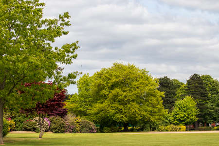 A beautiful spring landscaper in an English park in Wolverhampton
