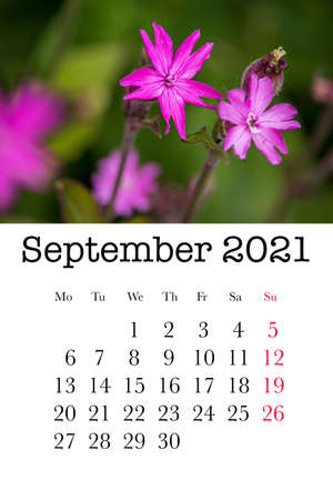 Calendar card for the month of September 2021の写真素材