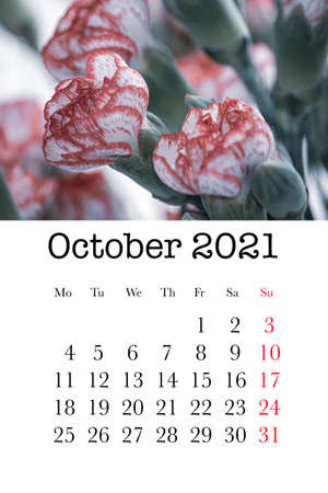 Calendar card for the month of October 2021の写真素材