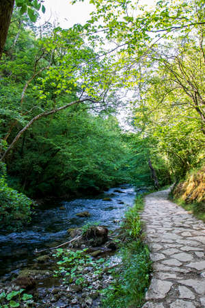 Dove Dale - beautiful view over the water among the green trees on a sunny dayの写真素材