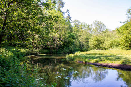 Dove Dale - beautiful view over the water among the green trees on a sunny dayの写真素材