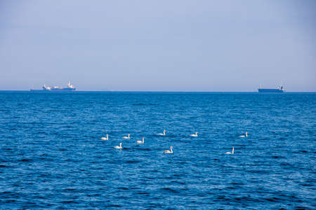 Sopot-beautiful summer view on the Baltic Sea in Poland