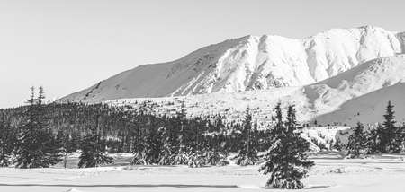 Black and white photo. Panorama of the Polish Tatra Mountains