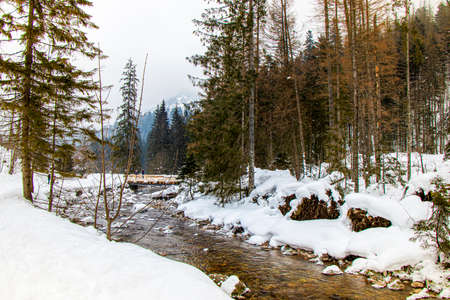 A beautiful view of the winter Polish Tatra Mountains.の写真素材