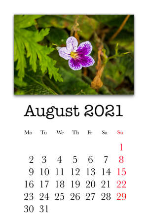 Calendar card for the month of August 2021の写真素材