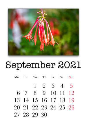 Calendar card for the month of September 2021の写真素材