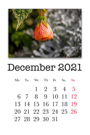 Calendar card for the month of December 2021の写真素材