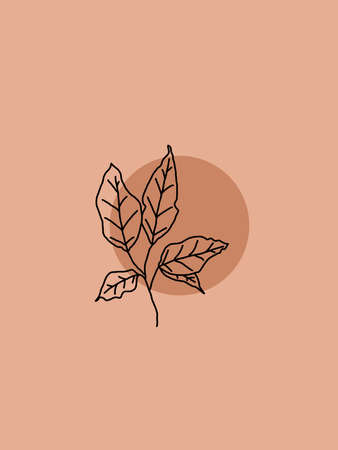 Printable minimalist botanical illustration. Home decor, wall art. Boho.の写真素材