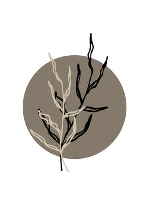 Printable minimalist botanical illustration. Home decor, wall art. Boho.の写真素材