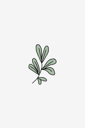 Printable minimalist botanical illustration. Home decor, wall art. Boho.の写真素材