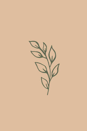 Printable minimalist botanical illustration. Home decor, wall art. Boho.の写真素材