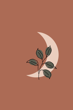 Printable minimalist botanical illustration. Home decor, wall art. Boho.の写真素材