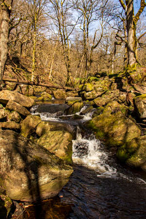 Gorge in Padley-Peak District National Park, Derbyshire, England. Green moss on stones.の写真素材
