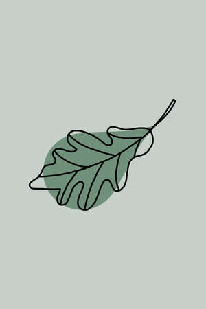 Minimalistic illustration for printing. Wall posters, interior design. Botanical illustration.の写真素材