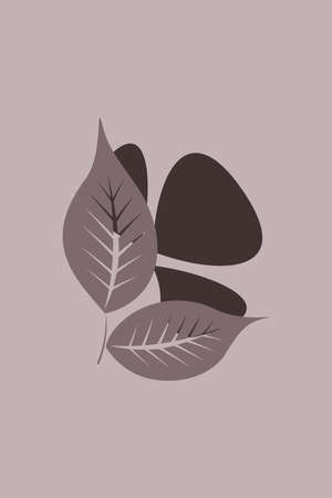 Minimalist Printable Botanical Illustration .Plants Illustration. Home decor.の写真素材