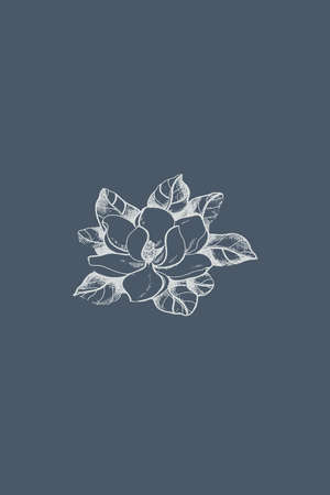 Minimalist Printable Botanical Illustration .Plants Illustration. Home decor.の写真素材