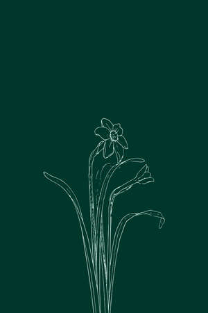 Minimalist Printable Botanical Illustration .Plants Illustration. Home decor.の写真素材